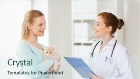  Presentation with fold - Theme with animalmedicine - medicine pet animals health care background and a sky blue colored foreground