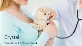  Presentation with fold - Audience pleasing slide set consisting of animalmedicine - medicine pet animals health care backdrop and a sky blue colored foreground