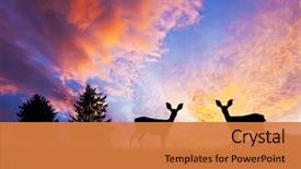  Presentation with animal nature - PPT theme having animals and nature background and a gold colored foreground