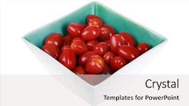  Presentation with blue food - Theme consisting of animals around the world background and a  colored foreground