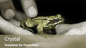  Presentation with frog - Presentation enhanced with animals body parts - boys hand holding a tiny background and a coral colored foreground