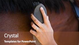  Presentation with brown - Amazing theme having animals body parts - cropped hand of woman brushing backdrop and a red colored foreground