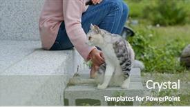  Presentation with touch dna - Cool new presentation theme with animals body parts - woman touch on the cat backdrop and a violet colored foreground