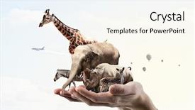  Presentation with mix berry mixed berries - Amazing presentation design having animals care and protection mixed backdrop and a cream colored foreground