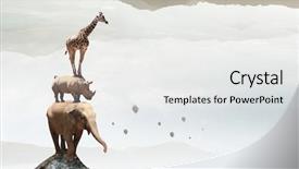  Presentation with animal collage - Beautiful presentation design featuring animals care and protection mixed backdrop and a white colored foreground