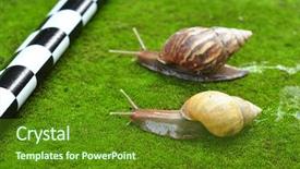  Presentation with snail - Cool new slides with animals chase - snail race backdrop and a tawny brown colored foreground