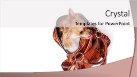  Presentation with bag iv fluid - Theme featuring animals clipart - chihuahua in bag background and a white colored foreground