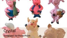  Presentation with pigs - Colorful slide deck enhanced with animals clipart - collection of isolated pigs part backdrop and a coral colored foreground