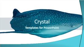  Presentation with whale - Amazing PPT layouts having animals clipart - whale shark isolated on white backdrop and a ocean colored foreground
