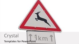  Presentation with animals - Presentation featuring animals-crossing-the-road-warning background and a light gray colored foreground