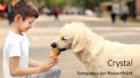 Presentation with dog feeds - Audience pleasing slide deck consisting of animals eat - small boy feeding ice-cream cute backdrop and a lemonade colored foreground