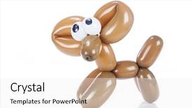  Presentation with balloon - Slide set consisting of animals entertainment - balloon dog chihuahua isolated background and a white colored foreground