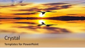  Presentation with sea sun - Slide set consisting of animals entertainment - panoramic sunset sun background and a  colored foreground