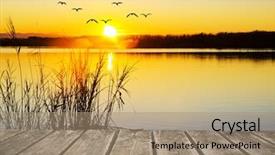  Presentation with animals - Audience pleasing PPT theme consisting of animals entertainment - sunset from the pier backdrop and a coral colored foreground
