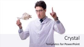  Presentation with funny animal - Amazing PPT theme having animals evolution - funny crazy professor paleontologyst studying backdrop and a light blue colored foreground