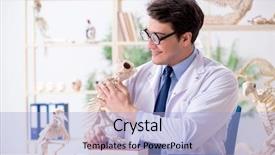  Presentation with funny animal - Slide set consisting of animals evolution - funny crazy professor studying animal background and a  colored foreground