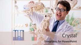  Presentation with funny animal - Presentation theme with animals evolution - funny crazy professor studying animal background and a soft green colored foreground