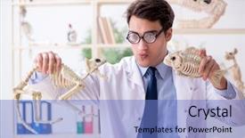  Presentation with funny animal - Presentation theme consisting of animals evolution - funny crazy professor studying animal background and a teal colored foreground