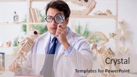  Presentation with funny animal - PPT theme having animals evolution - funny crazy professor studying animal background and a soft green colored foreground