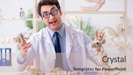  Presentation with funny animal - Colorful presentation theme enhanced with animals evolution - funny crazy professor studying animal backdrop and a soft green colored foreground
