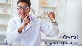  Presentation with funny animal - Slide deck with animals evolution - funny crazy student doctor studying background and a lemonade colored foreground