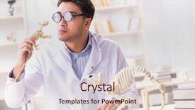  Presentation with funny animal - Colorful PPT theme enhanced with animals evolution - funny crazy student doctor studying backdrop and a lemonade colored foreground