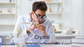  Presentation with evolution - PPT theme enhanced with animals evolution - funny crazy student doctor studying background and a light blue colored foreground