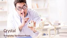  Presentation with funny animal - Slide set with animals evolution - funny crazy student doctor studying background and a lemonade colored foreground