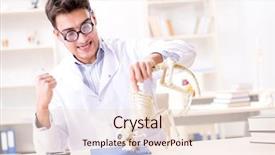  Presentation with funny animal - Presentation design with animals evolution - funny crazy student doctor studying background and a lemonade colored foreground