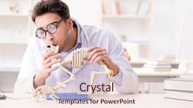  Presentation with funny animal - Colorful presentation theme enhanced with animals evolution - funny crazy student doctor studying backdrop and a lemonade colored foreground