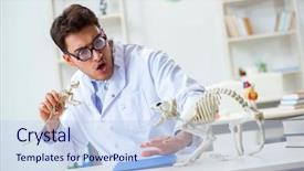  Presentation with funny animal - PPT theme with animals evolution - funny crazy student doctor studying background and a sky blue colored foreground