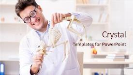  Presentation with funny animal - Cool new PPT layouts with animals evolution - funny crazy student doctor studying backdrop and a lemonade colored foreground