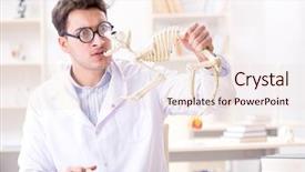  Presentation with funny animal - Beautiful presentation design featuring animals evolution - funny crazy student doctor studying backdrop and a lemonade colored foreground
