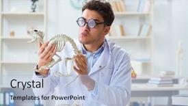  Presentation with funny animal - Theme having animals evolution - funny crazy student doctor studying background and a light blue colored foreground