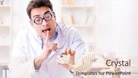  Presentation with funny animal - PPT theme with animals evolution - funny crazy student doctor studying background and a lemonade colored foreground