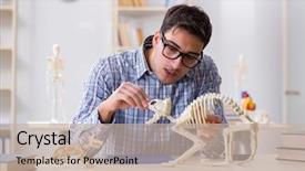  Presentation with animal - Colorful presentation enhanced with animals evolution - student doctor studying animal skeleton backdrop and a mint green colored foreground