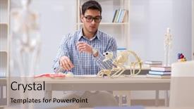  Presentation with animal - Audience pleasing slide set consisting of animals evolution - student doctor studying animal skeleton backdrop and a coral colored foreground