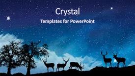  Presentation with animals - Cool new slides with silhouette red deer - animals in the night backdrop and a navy blue colored foreground