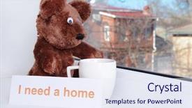  Presentation with toy - PPT theme consisting of animals need - toy-bear looking out window close-up background and a  colored foreground
