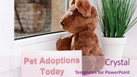  Presentation with person looking out in nature - PPT theme enhanced with animals need - toy-bear looking out window close-up background and a  colored foreground