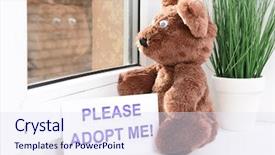  Presentation with toy - Slide deck enhanced with animals need - toy-bear looking out window close-up background and a  colored foreground