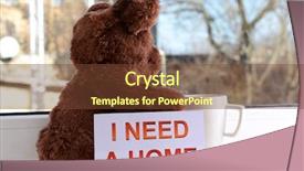  Presentation with person looking out in nature - Presentation theme consisting of animals need - toy-bear looking out window close-up background and a  colored foreground