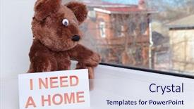  Presentation with person looking out in nature - Cool new slides with animals need - toy-bear looking out window close-up backdrop and a  colored foreground