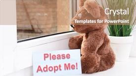  Presentation with toy - PPT theme with animals need - toy-bear looking out window close-up background and a  colored foreground