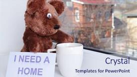  Presentation with toy - Amazing presentation theme having animals need - toy-bear looking out window close-up backdrop and a  colored foreground