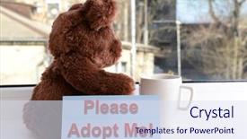  Presentation with person looking out in nature - Amazing slide set having animals need - toy-bear looking out window close-up backdrop and a  colored foreground