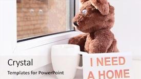  Presentation with person looking out in nature - Presentation theme featuring animals need - toy-bear looking out window close-up background and a  colored foreground