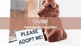  Presentation with toy - PPT layouts with animals need - toy-bear looking out window close-up background and a coral colored foreground