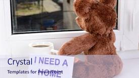  Presentation with person looking out in nature - Beautiful PPT theme featuring animals need - toy-bear looking out window close-up backdrop and a  colored foreground