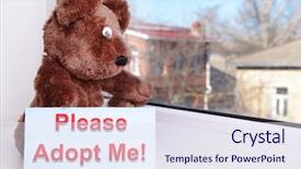  Presentation with person looking out in nature - Presentation design featuring animals need - toy-bear looking out window close-up background and a sky blue colored foreground